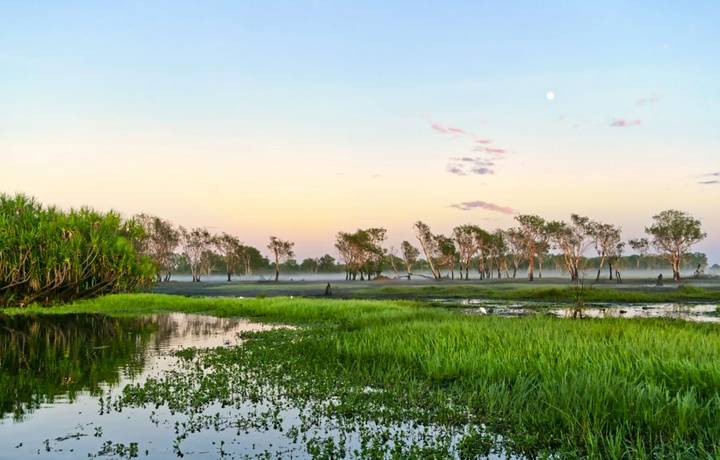 Sunrise over the Yellow Water billabong in the Kakadu National Park, Australia. Dusk on a river in nothern Australia with fu… Sunrise over the Yellow Water billabong in the Kakadu National Park, Australia. Dusk on a river in nothern Australia with fu…