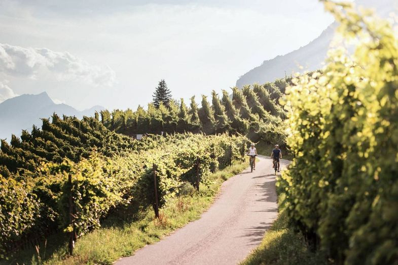 Preidlhof New Biking through the vineyards - Harald Wisthaler.jpg
