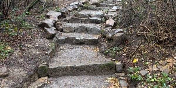 Exmoor views with pony