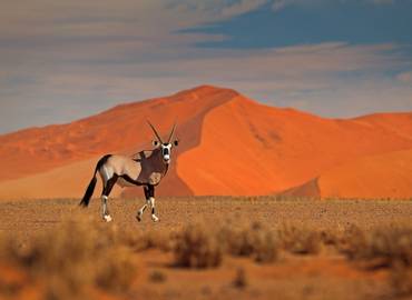 Namibia - A Photographic Tour