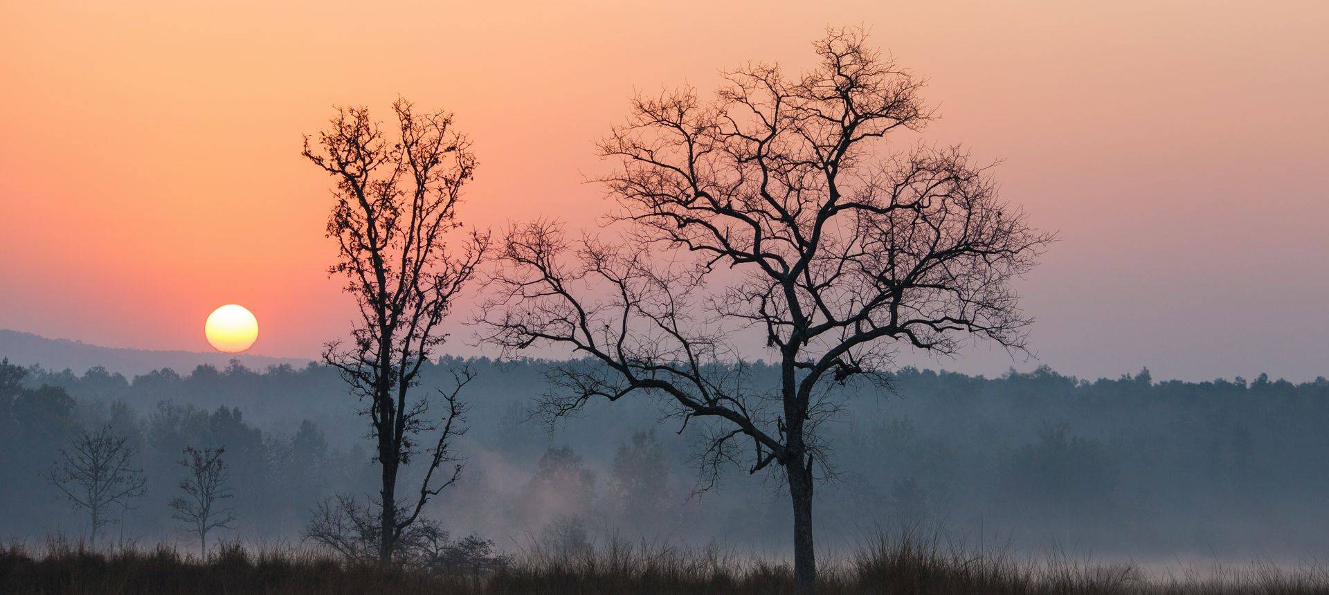 Kanha Tiger Reserve