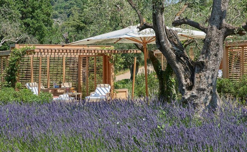 Château Saint‑Martin & Spa cabanas.jpg
