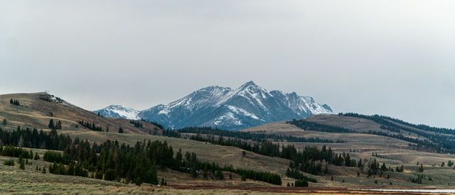 IntrepidTravel-christian-lucas-YellowstoneNationalPark-unsplash.jpg