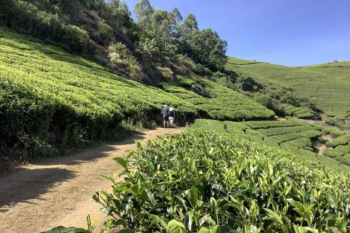 Kerala, India
