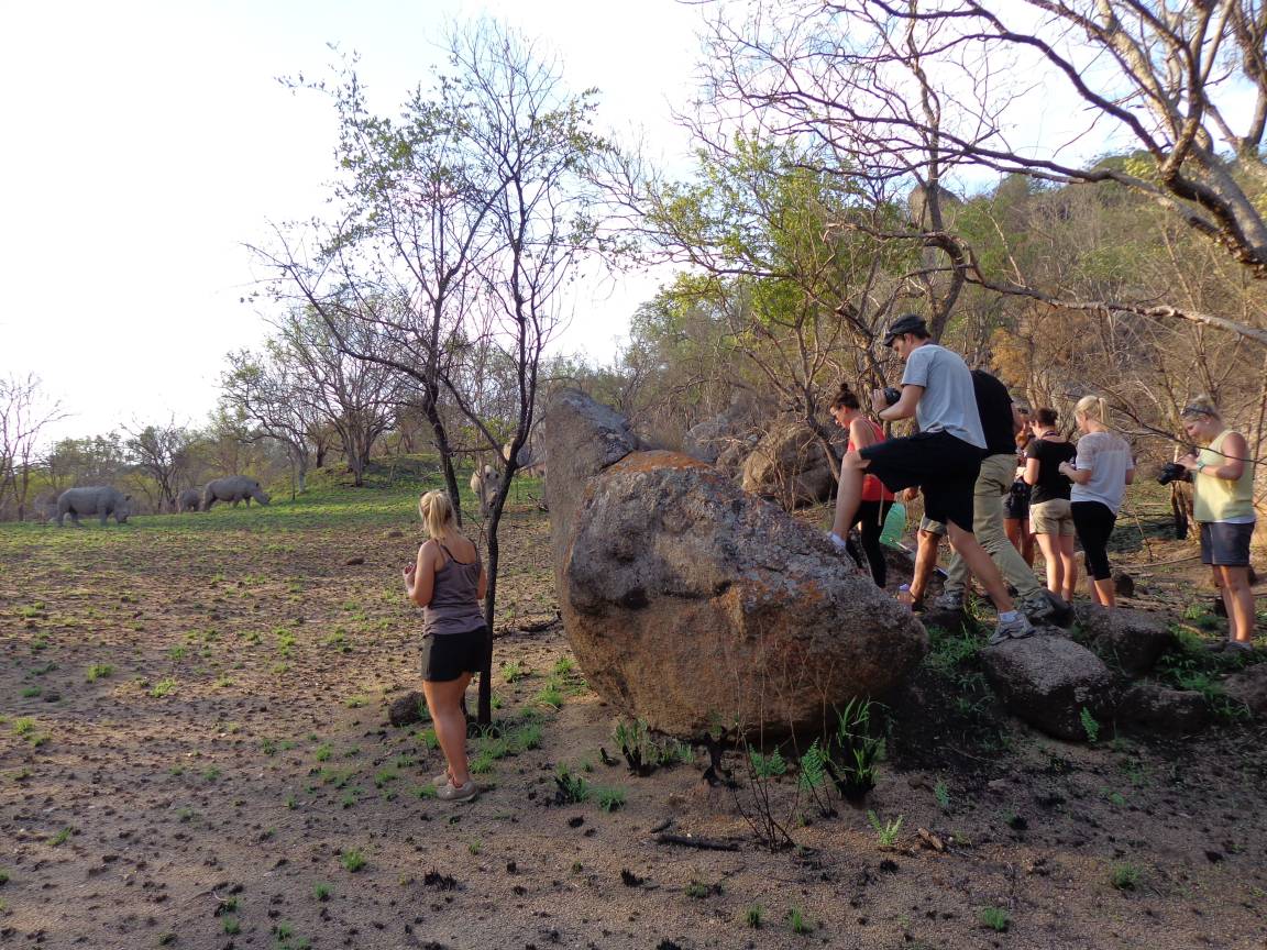 Rhino Walk in Zimbabwe