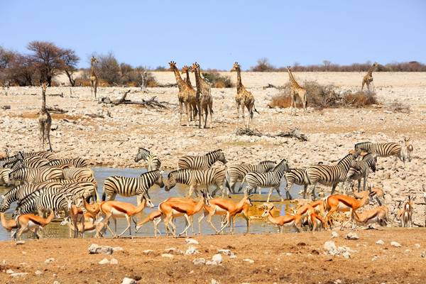 Etosha Pan