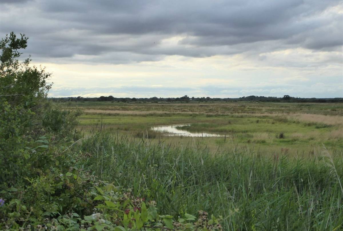 Otmoor.JPG
