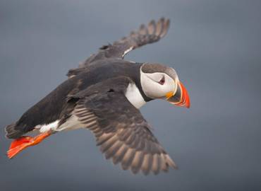 Fair Isle: Simmer Dim on the Magical Isle