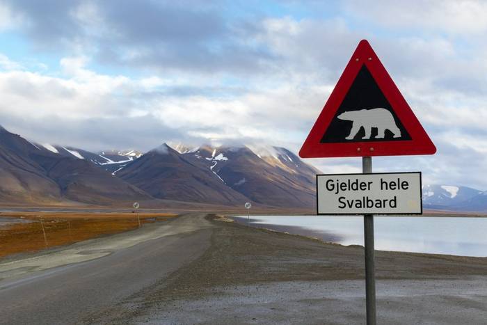 Polar Bear sign, Spitsbergen shutterstock_725436883.jpg