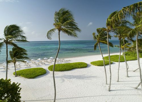 The Westin Punta Cana Resort & Club 3.jpg