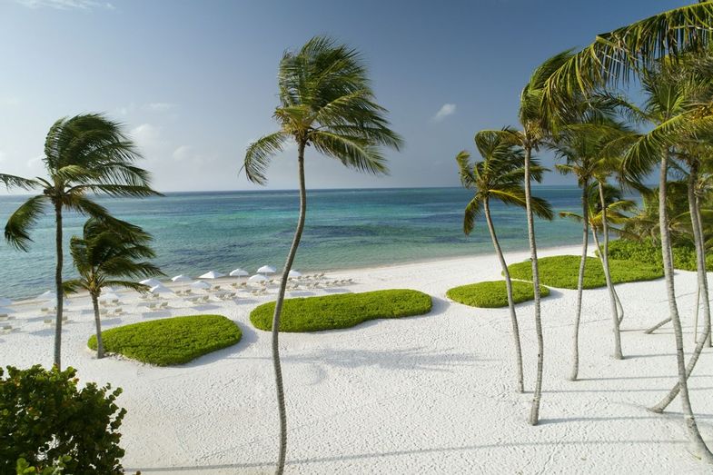 The Westin Punta Cana Resort & Club 3.jpg