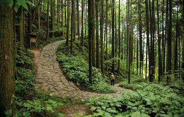 rf_as_cobblestoneroad_nakasendotrail_kisovalley_japan_01_2025_rgb.jpg