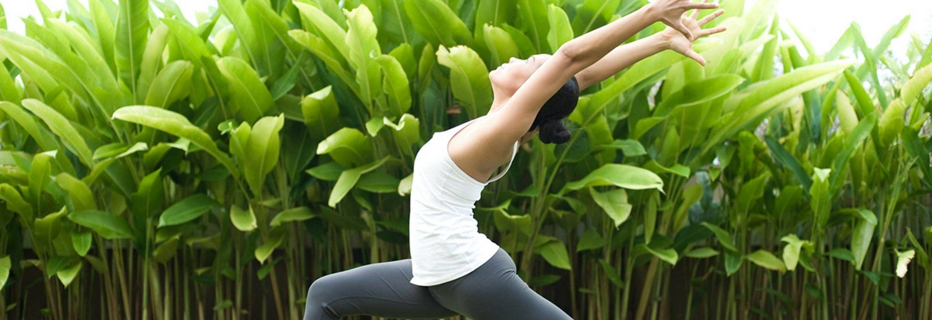 Absolute Sanctuary Yoga