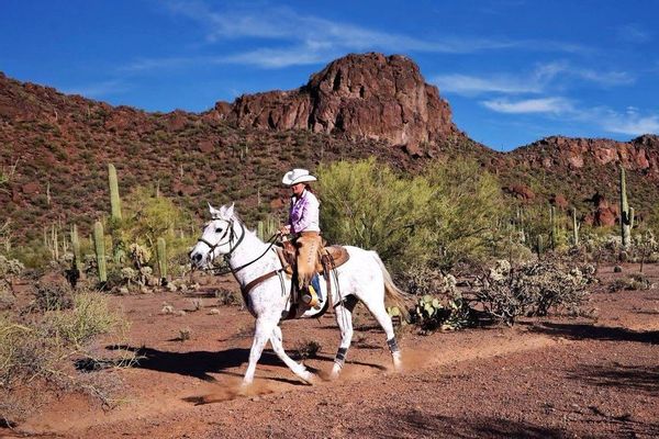 hidden-trails-white-stallion-ranch-arizona-horseback-riding-1.jpg