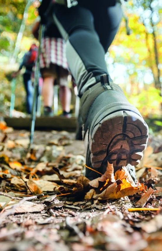 Get set for winter with our partner discounts