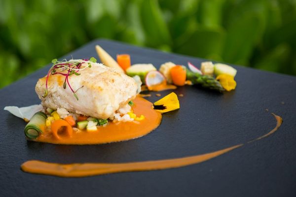 grand-velas-riviera-maya-restaurant-AZUL-Filete-Pescado.jpg