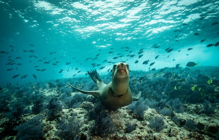 shutterstock_1467812651.png shutterstock_1467812651.png