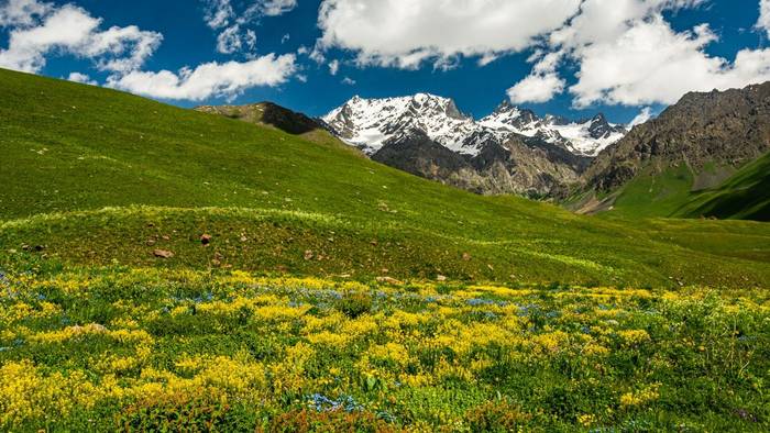 Kyrgyzstan flora shutterstock_1466870330.jpg