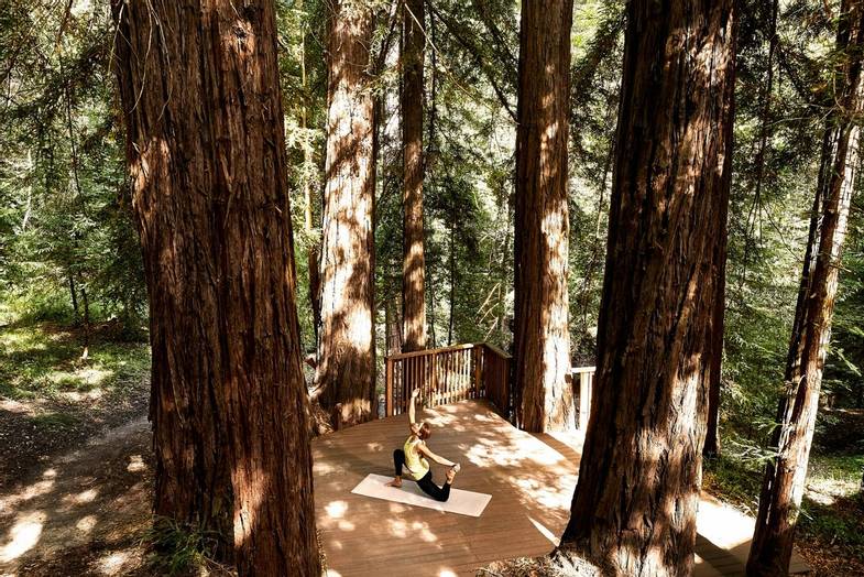 canyon ranch-woodside-california-Yoga in the trees.jpg