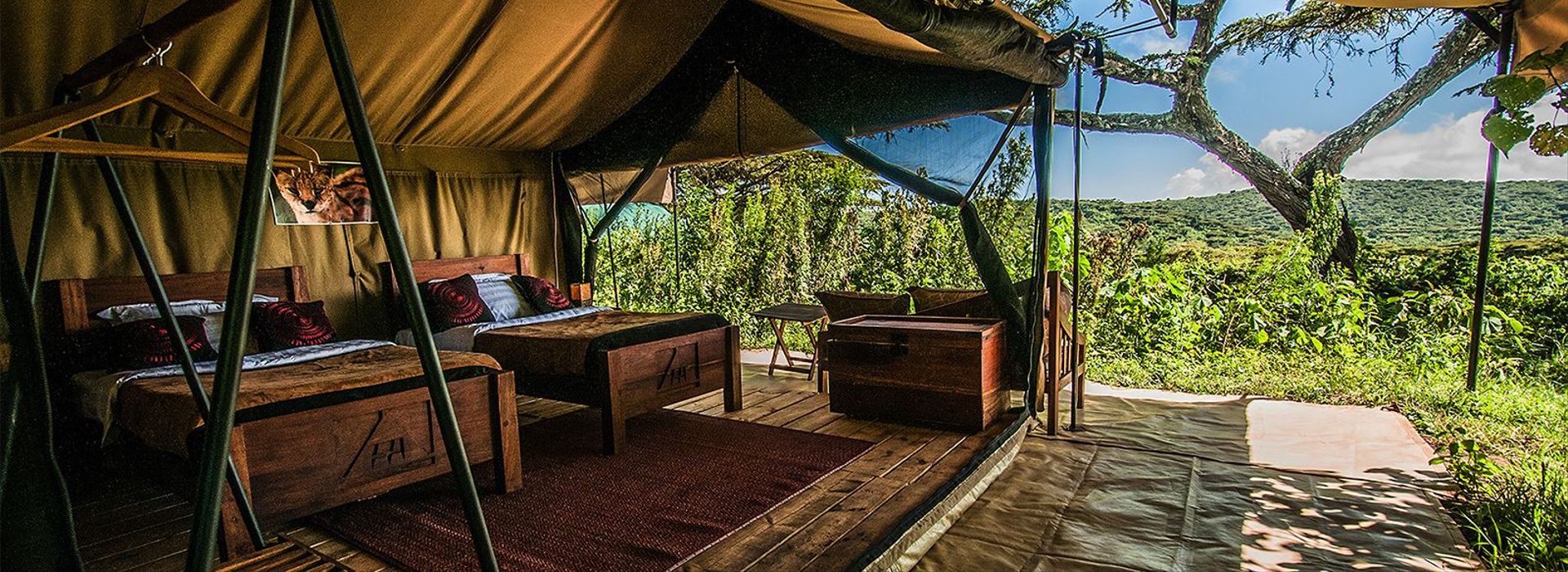 matriarch-hill-safari-accommodations-1.jpeg