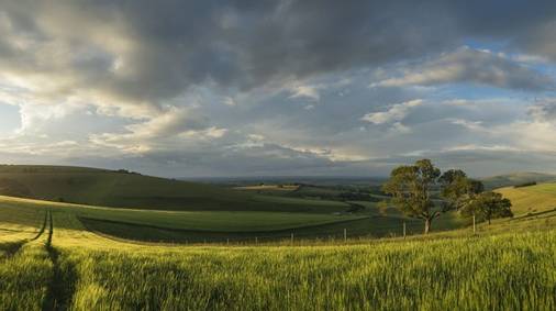 7 Night South Downs Christmas & New Year Self-Guided Walking Holiday