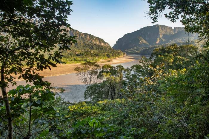 Madidi National Park, Bolivia