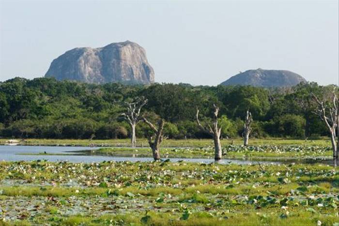 Yala National Park (David Allison)