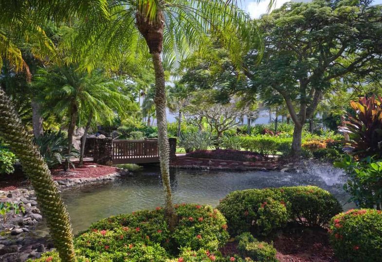 The Royal Sonesta Kauai Resort lagoon 2.jpg