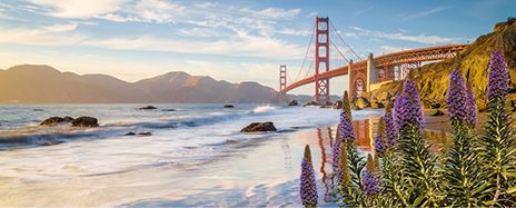 Cunard Voyage from Sydney to San Francisco