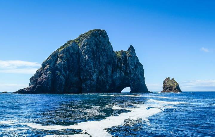 Cruising to the Hole in the Rock and with dolphins in New-Zealand