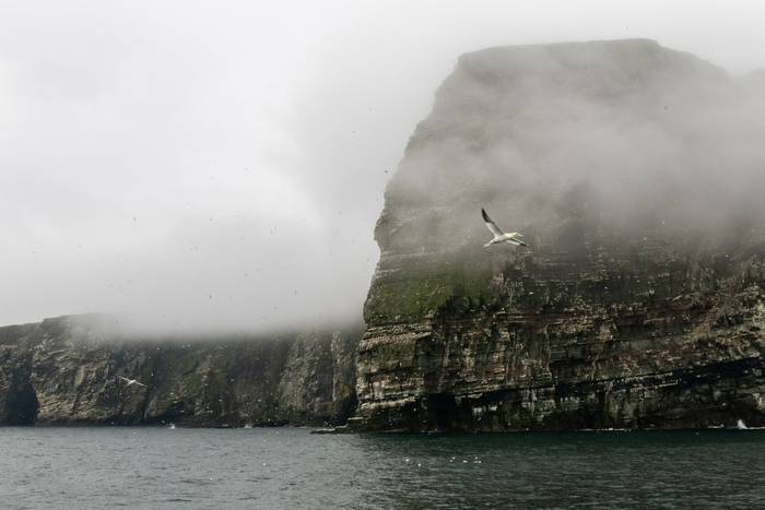 Sumburgh Head, Shetland (Sara Frost) (2).jpg