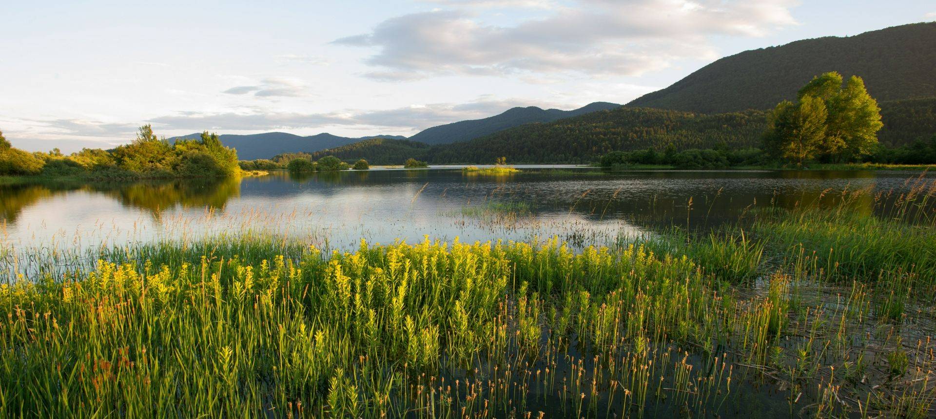 Lake Cerknica Shutterstock 222132802