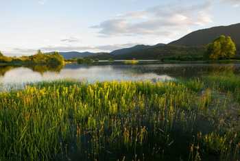 Lake Cerknica Shutterstock 222132802