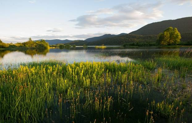 Lake Cerknica Shutterstock 222132802