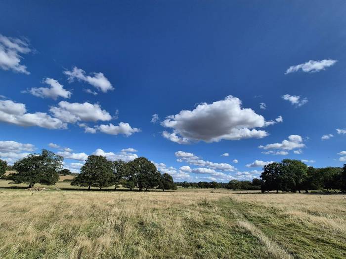 Colne Valley near Chappel.jpg