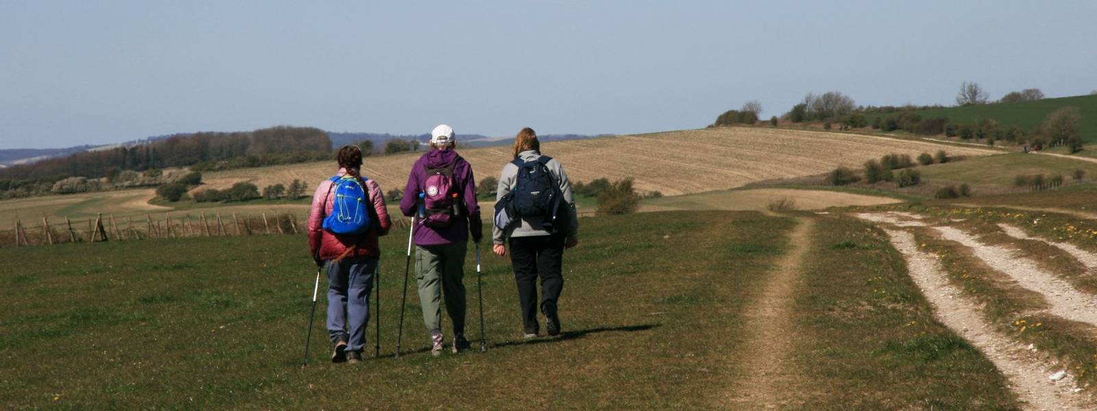 South_Downs_Way_Walkers_Group_Kithurst_Hill.JPG