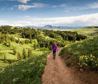 canyon-ranch-lenox-path-grass-trees-mountains.jpg