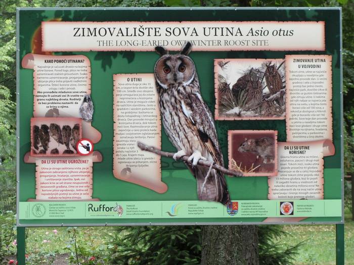 Info_board_Milan_Ruzic.jpg
