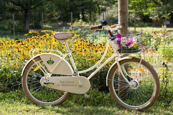 the-lodge-at-woodloch-Cruiser-Bikes.jpg