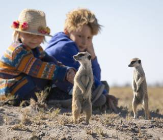 African Travel Inc - Platinum Botswana - Jack's Camp_Meerkat experience family - Meeting the meerkats.jpg