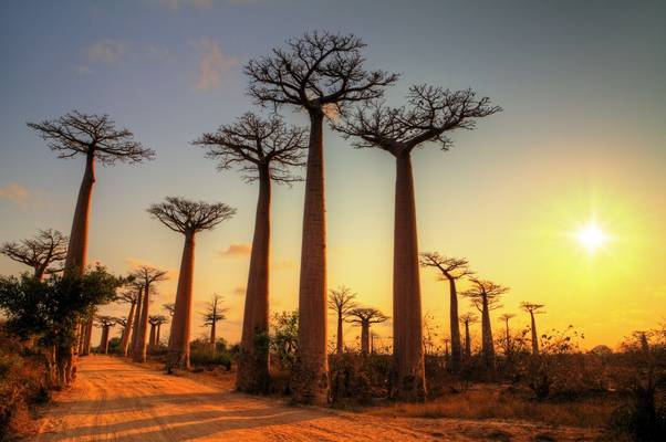 Madagascar: A Country Full Of Breathtaking Nature