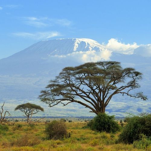 Kilimanjaro The Long Way