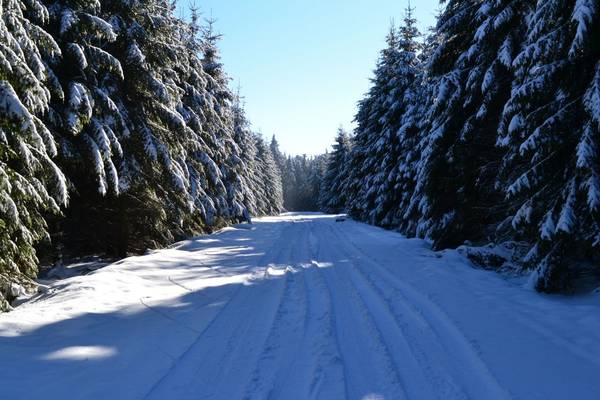 Ardennes shutterstock_1569708976.jpg