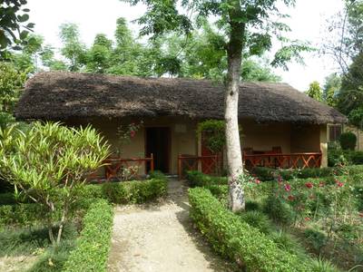 Forest Hideaway in Bardia