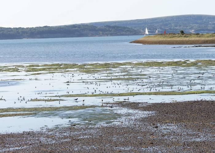 Keyhaven Marsh (Marcus Ward)