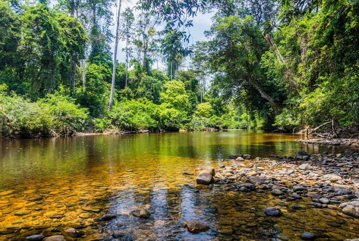 Tahan River, Malaysia