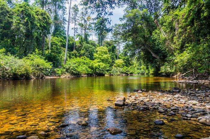 Tahan River, Malaysia