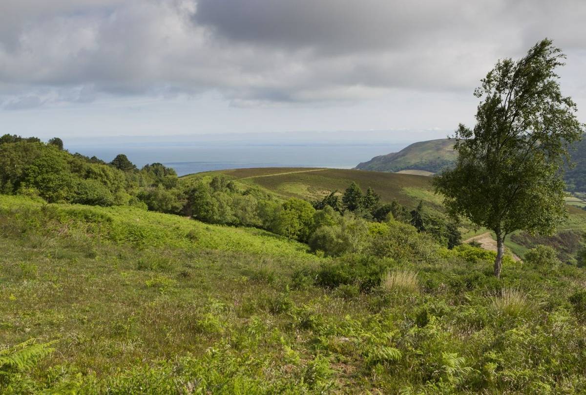 View of Halse Combe and Severn Estuary, Somerset, UK in June.