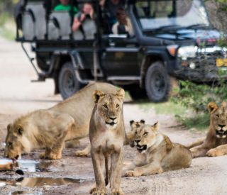 African Travel Inc - Namibia - Ongava Game Reserve _5.jpg