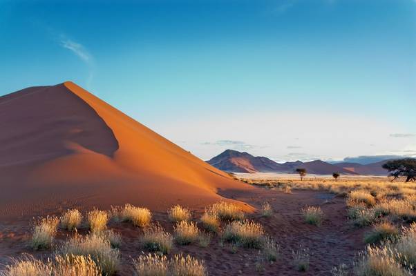 Namib Desert, Sossusvlei, Namibia. Shutterstock 107852582